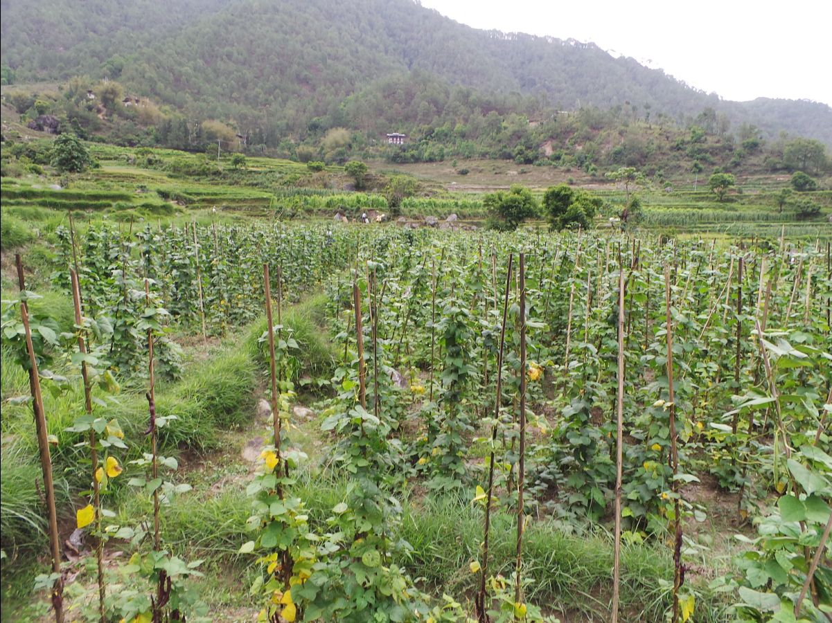 Gantey Hike20
